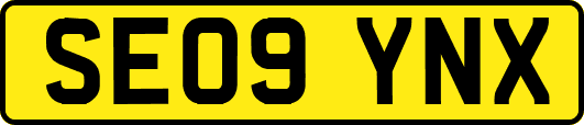 SE09YNX