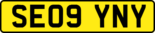 SE09YNY