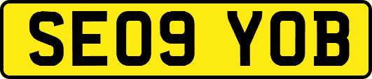 SE09YOB