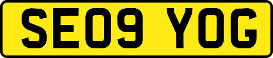 SE09YOG