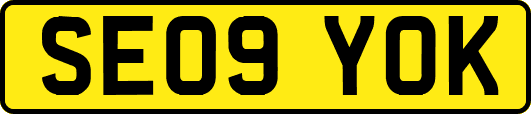 SE09YOK