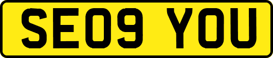 SE09YOU