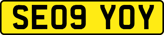 SE09YOY