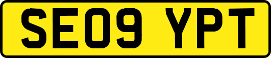 SE09YPT