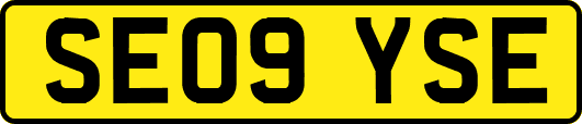 SE09YSE