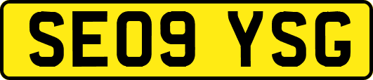 SE09YSG