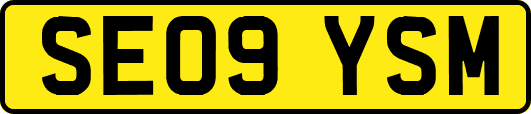 SE09YSM