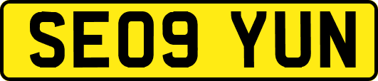 SE09YUN