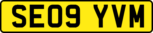SE09YVM