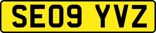 SE09YVZ