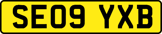 SE09YXB