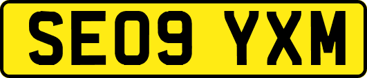SE09YXM