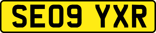 SE09YXR