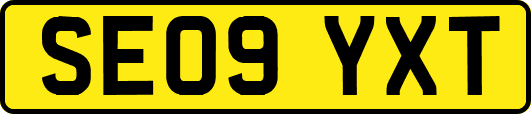 SE09YXT