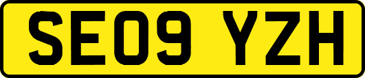 SE09YZH