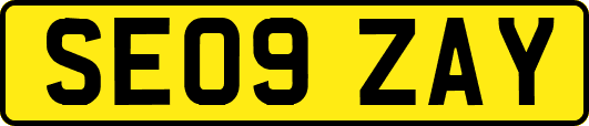 SE09ZAY