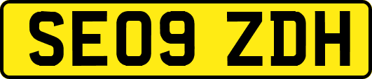 SE09ZDH