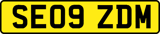 SE09ZDM
