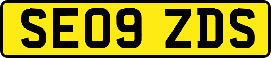SE09ZDS