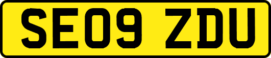 SE09ZDU