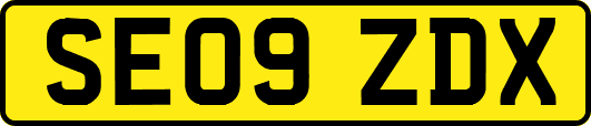 SE09ZDX