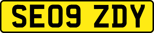 SE09ZDY