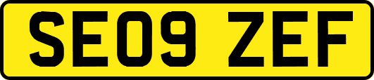 SE09ZEF