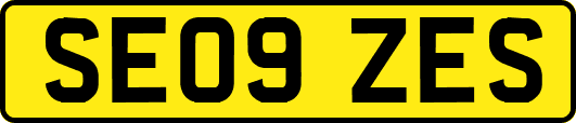 SE09ZES