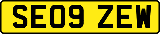 SE09ZEW