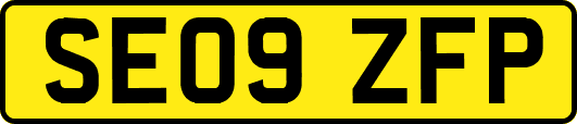 SE09ZFP