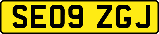 SE09ZGJ
