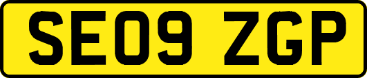 SE09ZGP