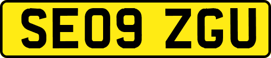 SE09ZGU
