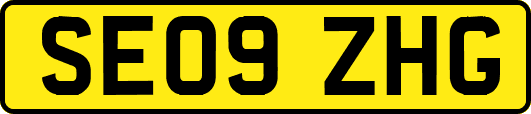 SE09ZHG