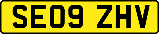 SE09ZHV