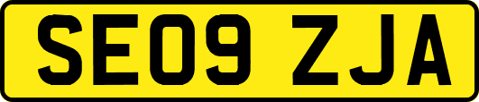 SE09ZJA