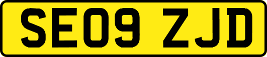 SE09ZJD