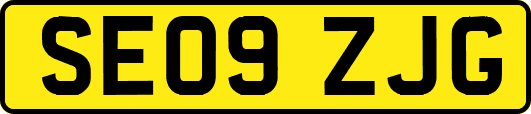 SE09ZJG