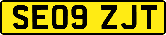 SE09ZJT
