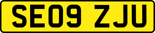 SE09ZJU