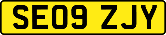 SE09ZJY