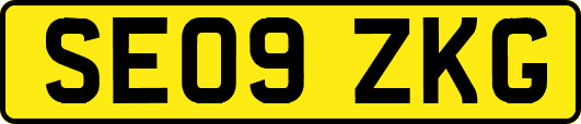 SE09ZKG