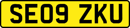 SE09ZKU