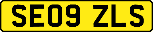 SE09ZLS