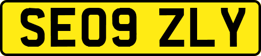 SE09ZLY