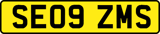 SE09ZMS
