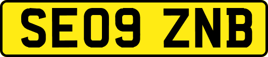 SE09ZNB