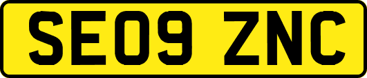 SE09ZNC