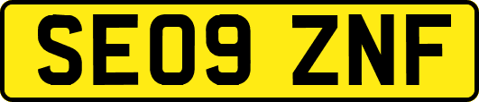 SE09ZNF