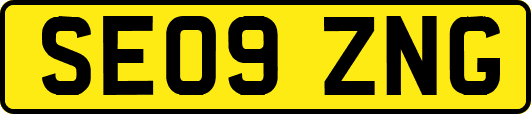 SE09ZNG